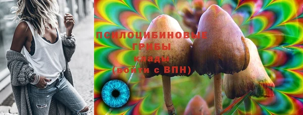 дживик Горно-Алтайск
