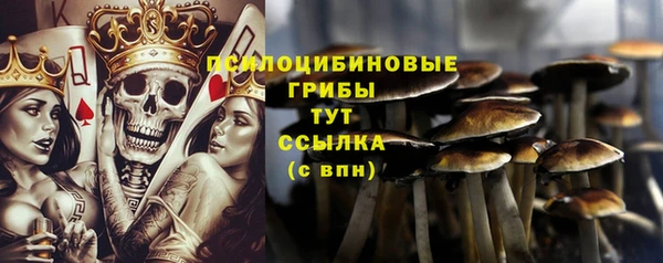 круглые Горняк