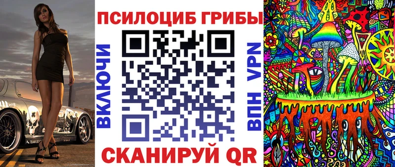 Псилоцибиновые грибы Magic Shrooms  Купить закладки  Грайворон 