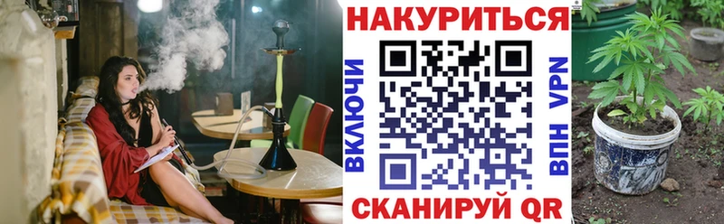 Конопля White Widow  Купить  Грайворон 